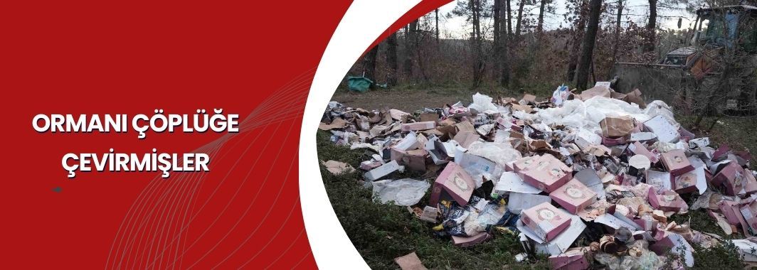Ormanı Çöplüğü Çevirmişler