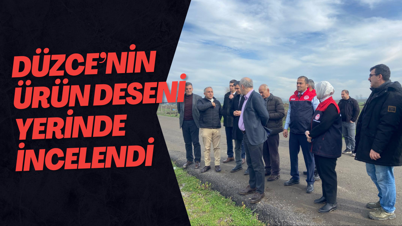 Düzce’nin Ürün Deseni Yerinde İncelendi