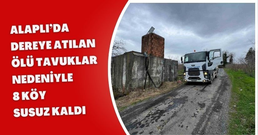 Alaplı’da dereye atılan ölü tavuklar nedeniyle 8 köy susuz kaldı