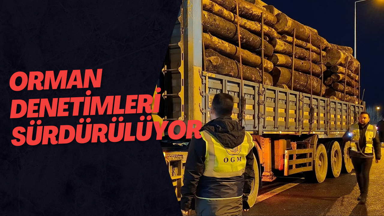 Orman Denetimleri Sürdürülüyor
