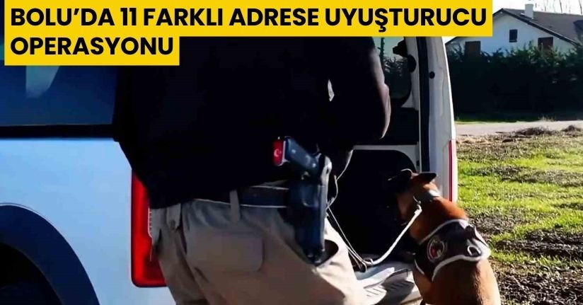 Bolu’da 11 farklı adrese uyuşturucu operasyonu