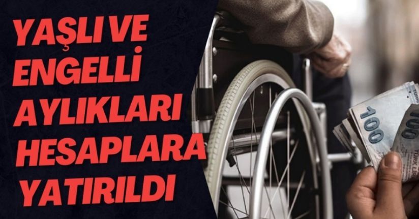 Şubat ayı yaşlı ve engelli aylıkları yatırılmaya başlandı