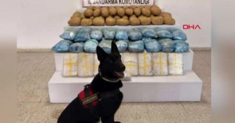 Jandarma bir ayda 224 kilo uyuşturucu ele geçirdi; 138 şüpheli hakkında adli işlem yapıldı
