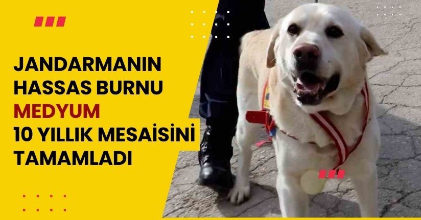 Jandarmanın hassas burnu 