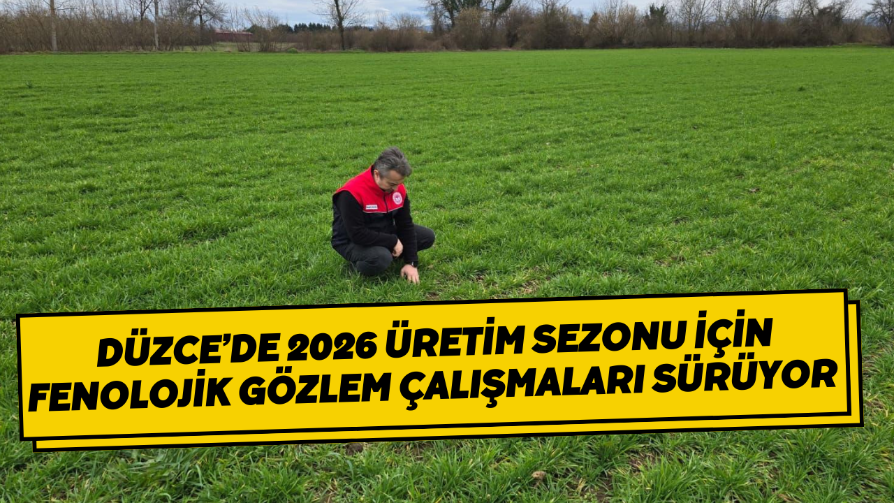 Düzce’de 2026 Üretim Sezonu İçin Fenolojik Gözlem Çalışmaları Sürüyor 