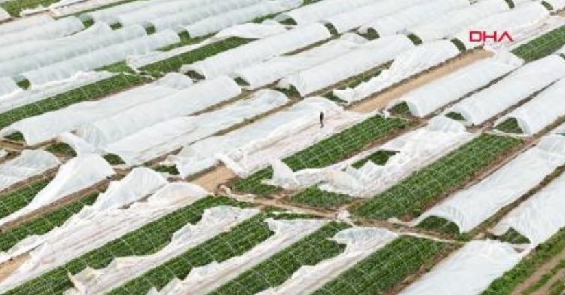 Geçen haftaki yağış ve hortumun Antalya'ya faturası 300 milyon TL