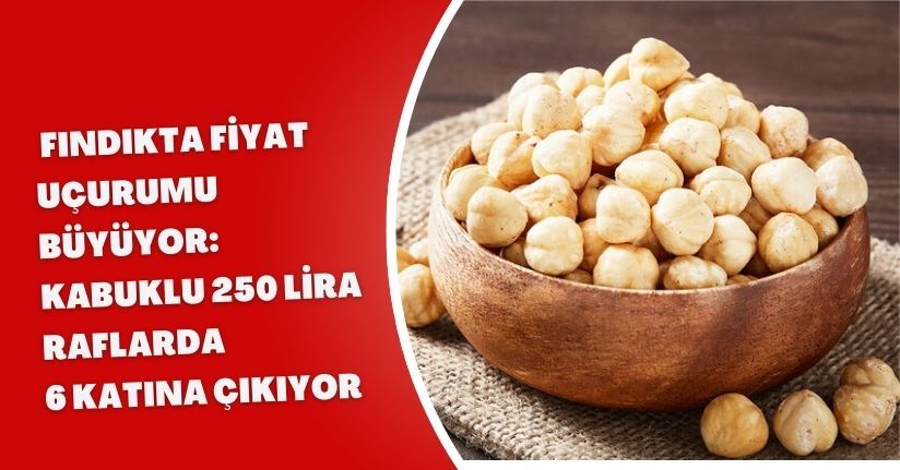 Fındıkta Fiyat Uçurumu Büyüyor: Kabuklu 250 Lira, Raflarda 6 Katına Çıkıyor