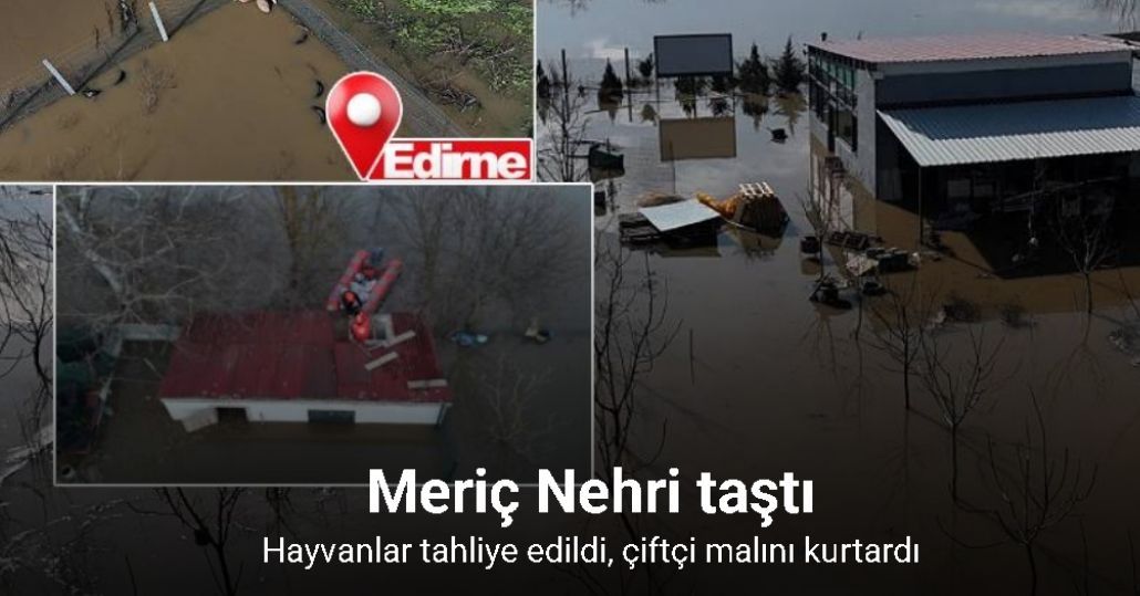 Meriç Nehri taştı; hayvanlar tahliye edildi, çiftçi malını kurtardı