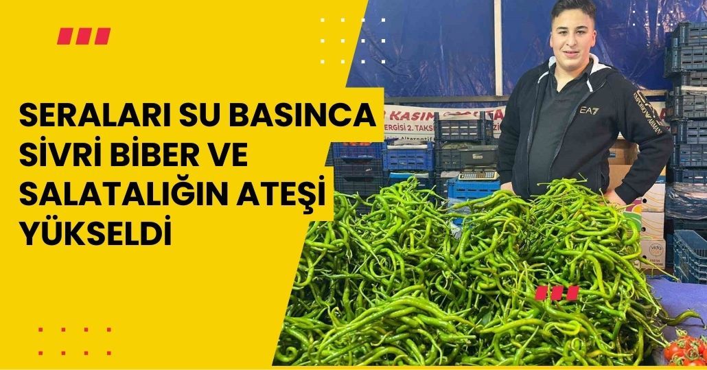 Seraları su basınca sivri biber ve salatalığın ateşi yükseldi