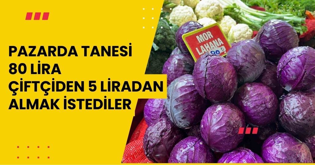 Pazarda tanesi 80 lira; çiftçiden 5 liradan almak istediler