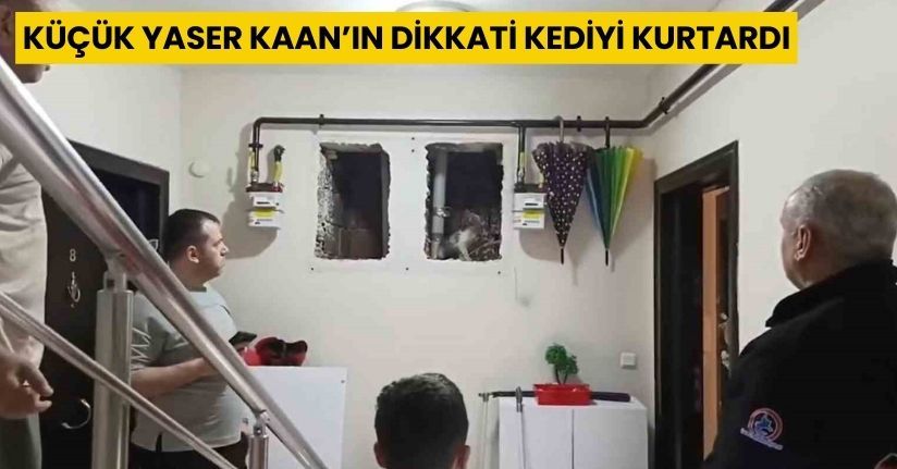 Küçük Yaser Kaan’ın dikkati kediyi kurtardı