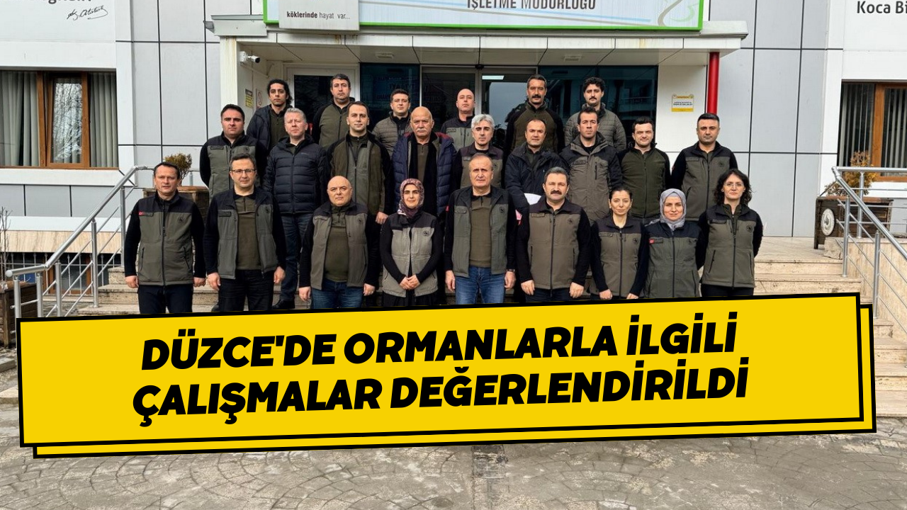 Düzce'de Ormanlarla İlgili Çalışmalar Değerlendirildi