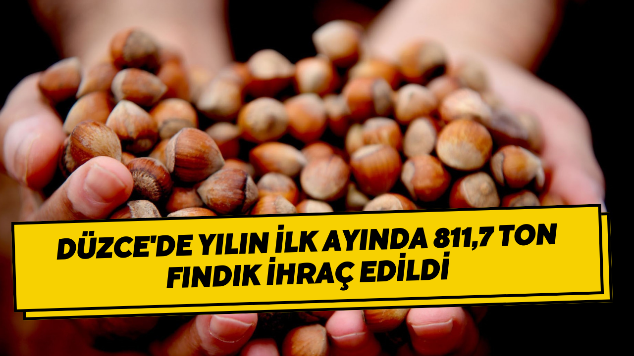 Düzce'de Yılın İlk Ayında 811,7 Ton Fındık İhraç Edildi