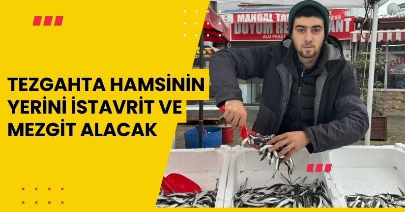 Tezgahta hamsinin yerini istavrit ve mezgit alacak