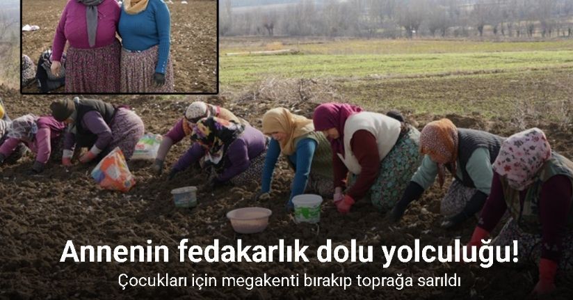 Çocukları için megakenti bırakıp toprağa sarıldı