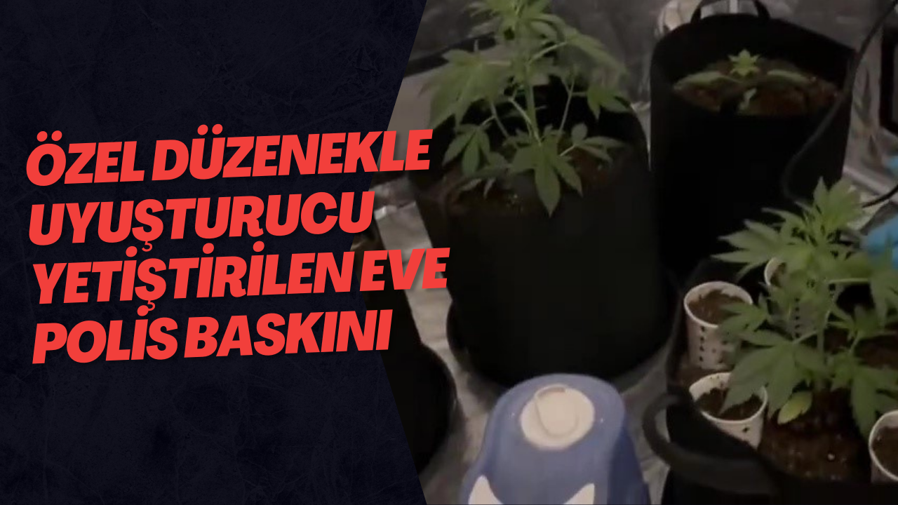 Özel Düzenekle Uyuşturucu Yetiştirilen Eve Polis Baskını