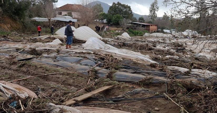 Tüm birikimlerini 1 saatte kaybettiler