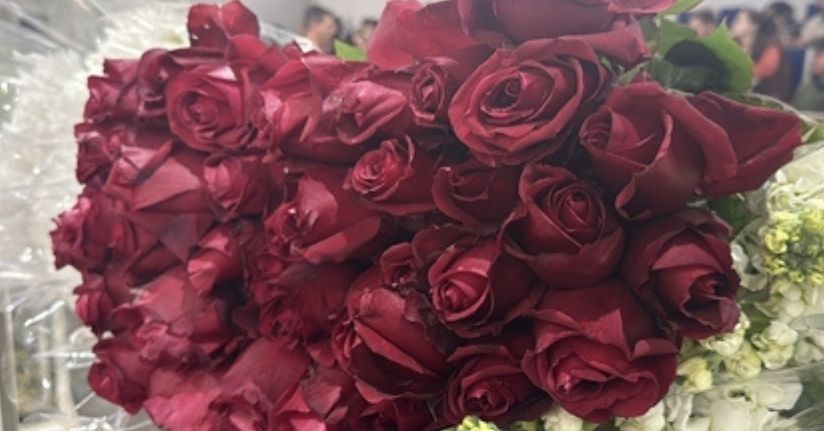 Yalova'da çiçek mezadında '14 Şubat' yoğunluğu