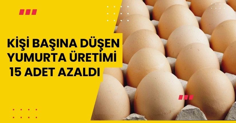 Kişi başına düşen yumurta üretimi 15 adet azaldı
