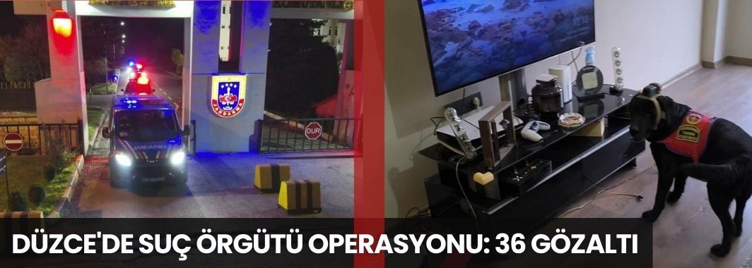 Düzce’de suç örgütü operasyonu: 36 gözaltı