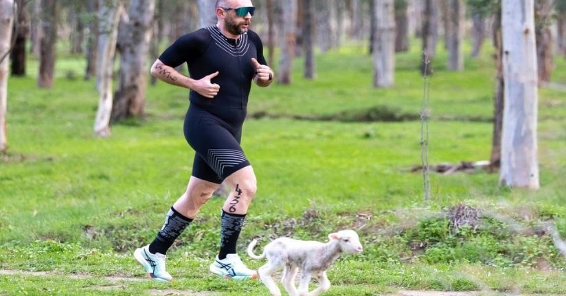 Triatlon yarışında parkura giren kuzu, renkli görüntülere neden oldu