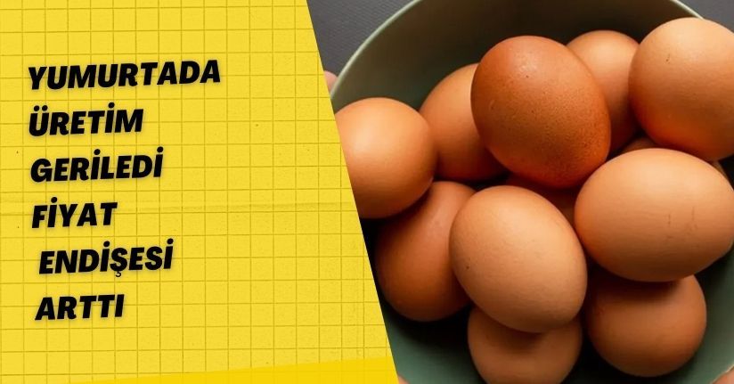 Yumurtada Üretim Geriledi, Fiyat Endişesi Arttı