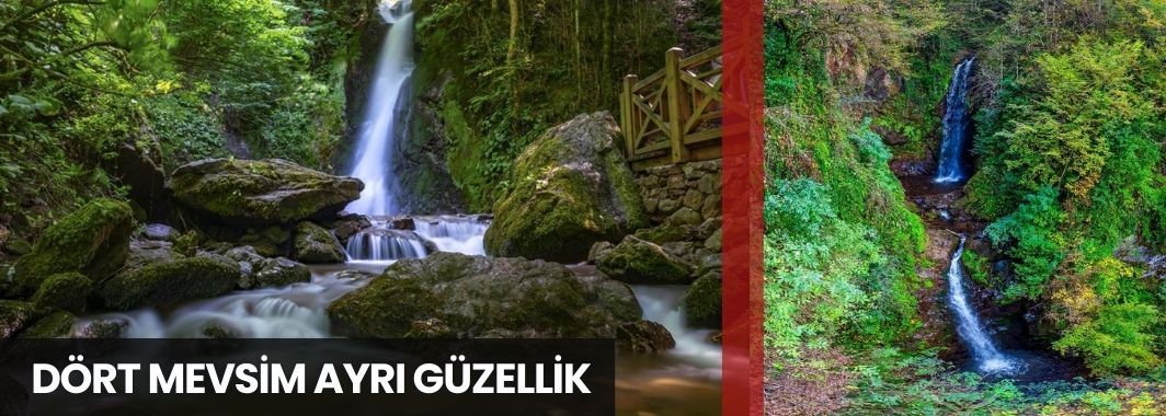  Dört Mevsim Ayrı Güzellik Aydınpınar Şelaleleri Tabiat Parkı
