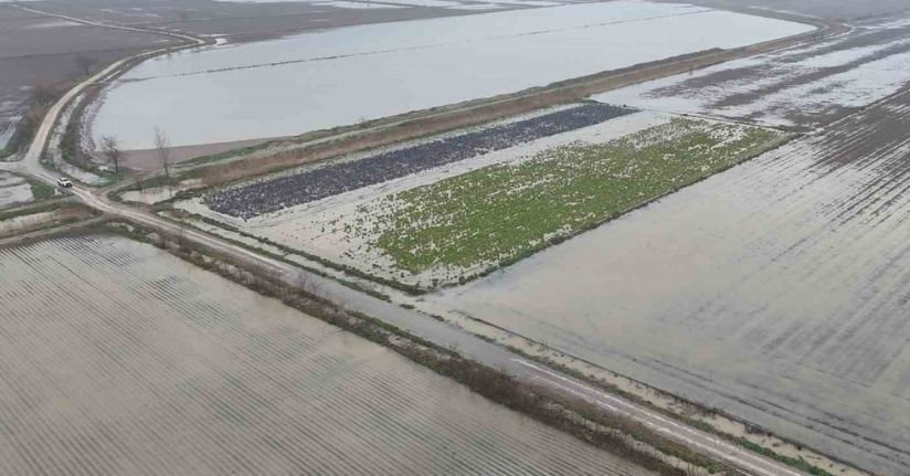 Sağanak yağmurdan sonra binlerce dönüm tarım arazisi sular altında kaldı