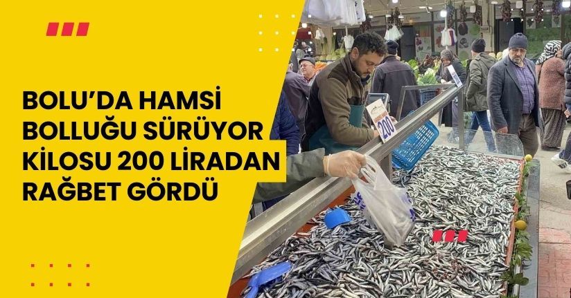 Bolu’da hamsi bolluğu sürüyor: Kilosu 200 liradan rağbet gördü