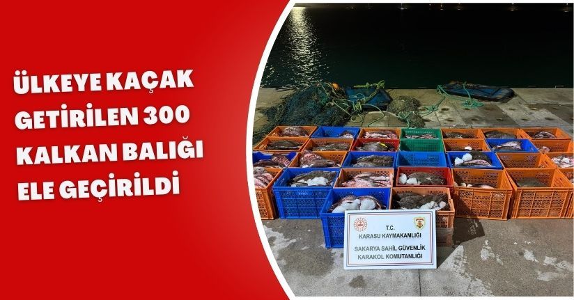 Ülkeye kaçak getirilen 300 kalkan balığı ele geçirildiÜlkeye kaçak getirilen 300 kalkan balığı ele geçirildi