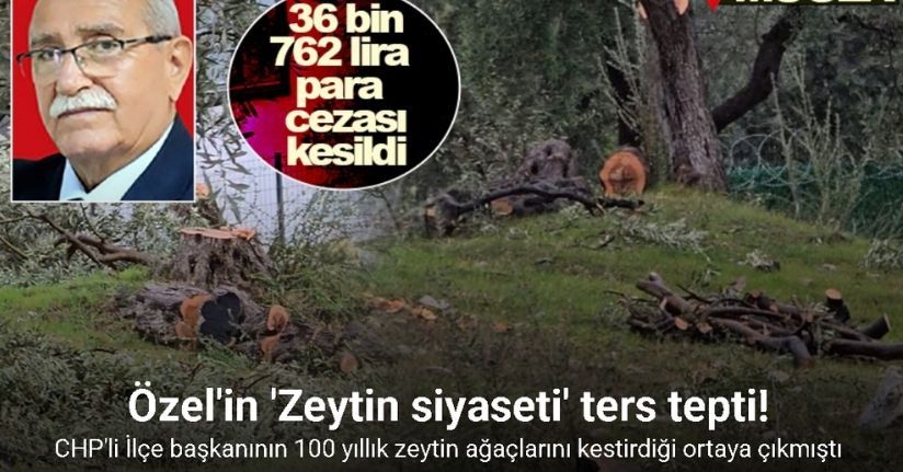 Zeytin ağaçlarını kesen ve görevinden istifa eden CHP’li başkana 36 bin 762 lira para cezası