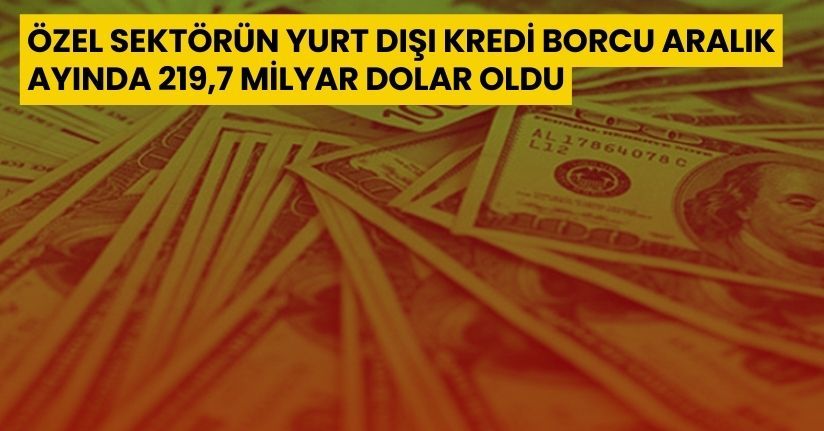 Özel sektörün yurt dışı kredi borcu Aralık ayında 219,7 milyar dolar oldu