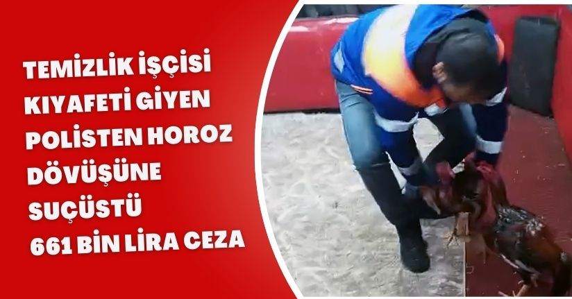 Temizlik işçisi kıyafeti giyen polisten horoz dövüşüne suçüstü; 661 bin lira ceza