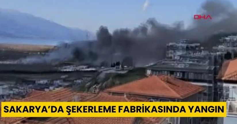 Sakarya’da şekerleme fabrikasında yangın