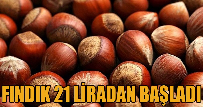 Fındık 21 liradan başladı