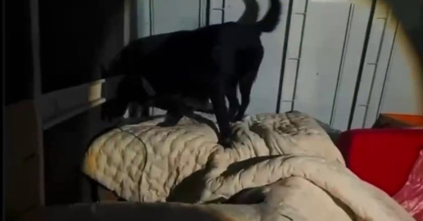 Kamyonet kasasında battaniyeyle saklanan 11 kilo 200 gram uyuşturucu yakalandıKamyonet kasasında battaniyeyle saklanan 11 kilo 200 gram uyuşturucu yakalandı