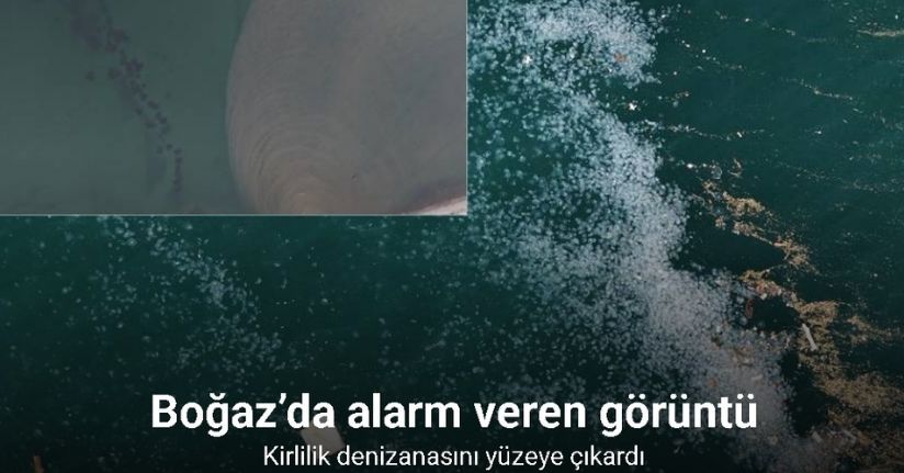 Boğaz’da alarm veren görüntü: Kirlilik denizanasını yüzeye çıkardı