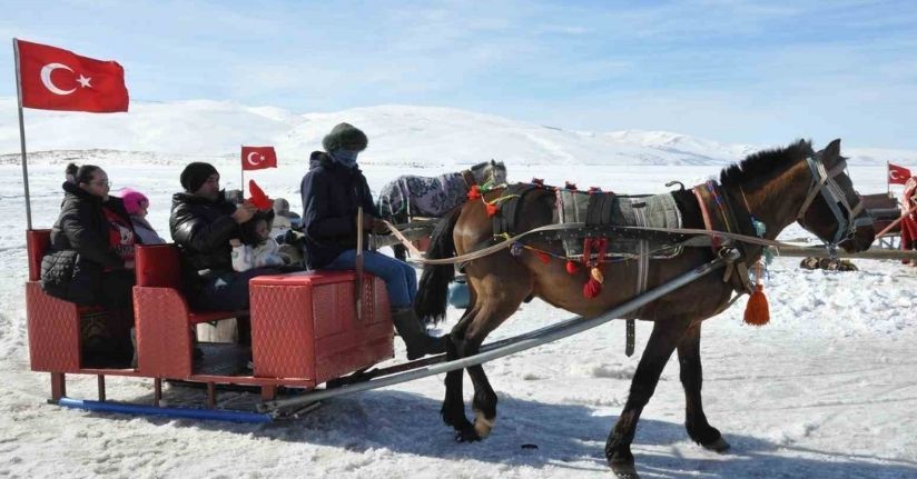 Kars Çıldır Gölü’nde dörtnala atlı kızak safarileri nefes kesiyor