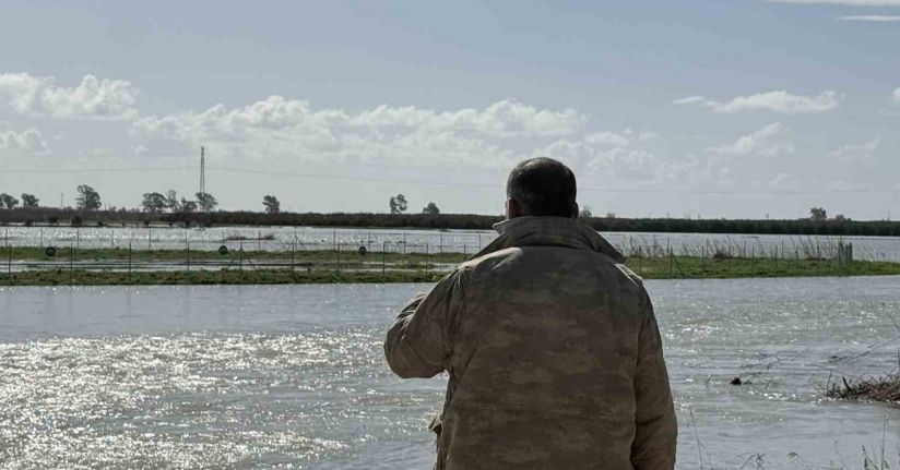 Seyhan Nehri taştı, Tarsus’ta tarım arazileri sular altında kaldı