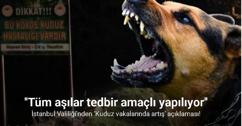 İstanbul Valiliği’nden ‘Kuduz vakalarında artış’ açıklaması