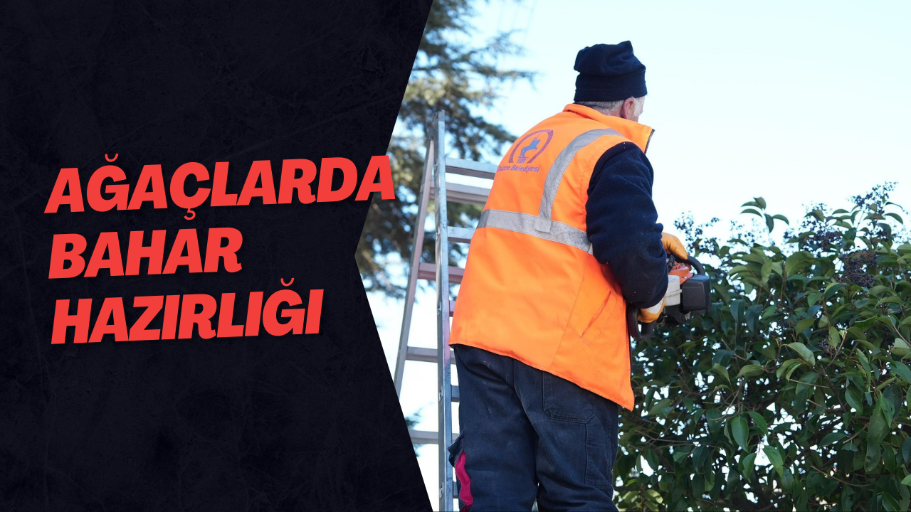 Ağaçlarda Bahar Hazırlığı