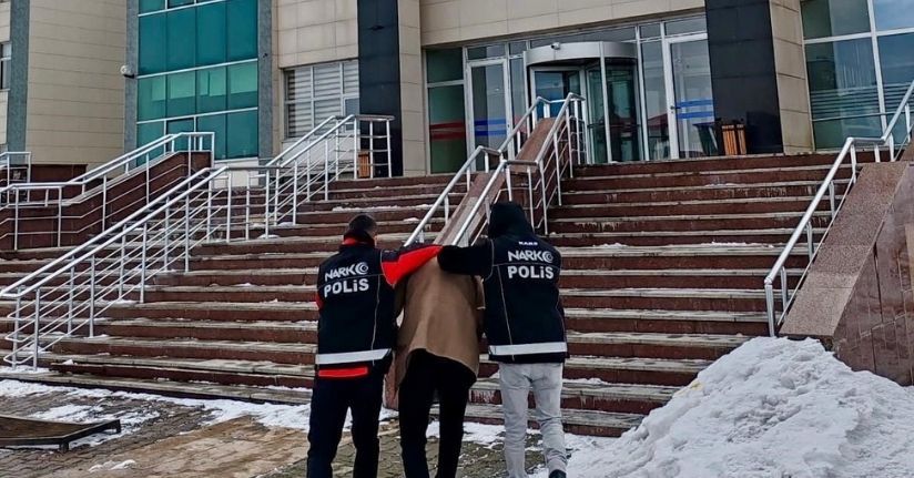 Kars’ta uyuşturucu operasyonu: 6 kilo bonzai üretimi engellendi