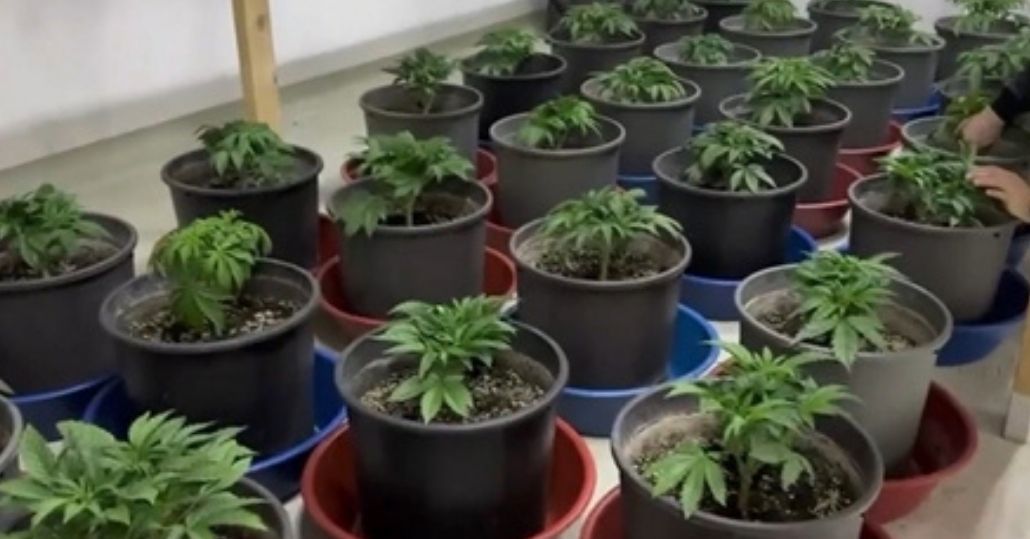  Maltepe'de uyuşturucu ticareti yapan 3 şüpheli yakalandı