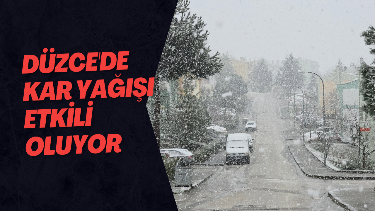 Düzce'de Kar Yağışı Etkili Oluyor