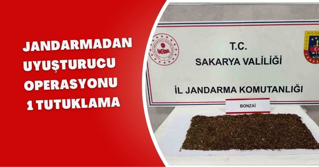 Jandarmadan uyuşturucu operasyonu: 1 tutuklama