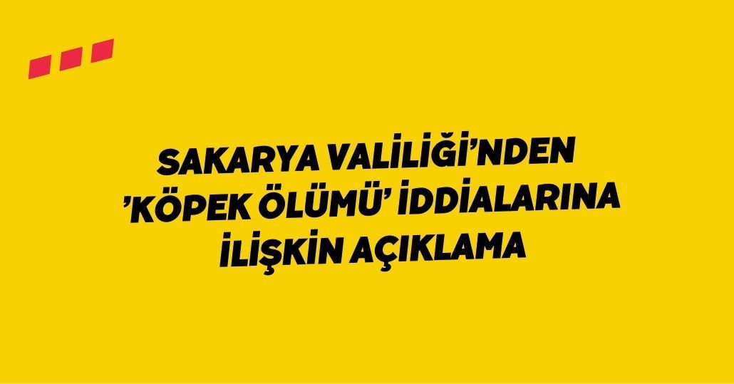 Sakarya Valiliği’nden ’köpek ölümü’ iddialarına ilişkin açıklama