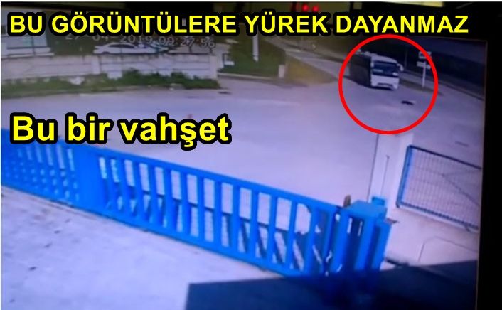 Minibüsün köpeği ezme görüntüleri güvenlik kamerasında