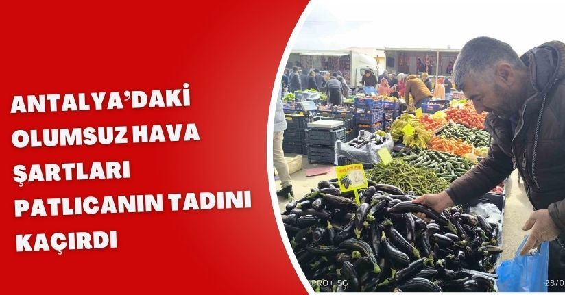 Antalya’daki olumsuz hava şartları patlıcanın tadını kaçırdı