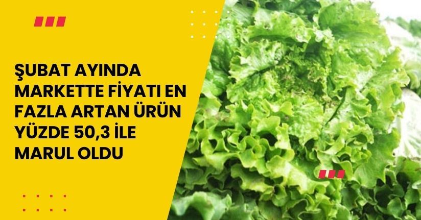 Şubat ayında markette fiyatı en fazla artan ürün yüzde 50,3 ile marul oldu