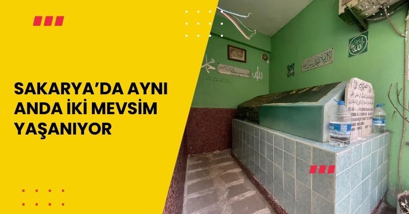 Sakarya’da sokak arasındaki sırrı çözülemeyen türbe merak konusu oldu
